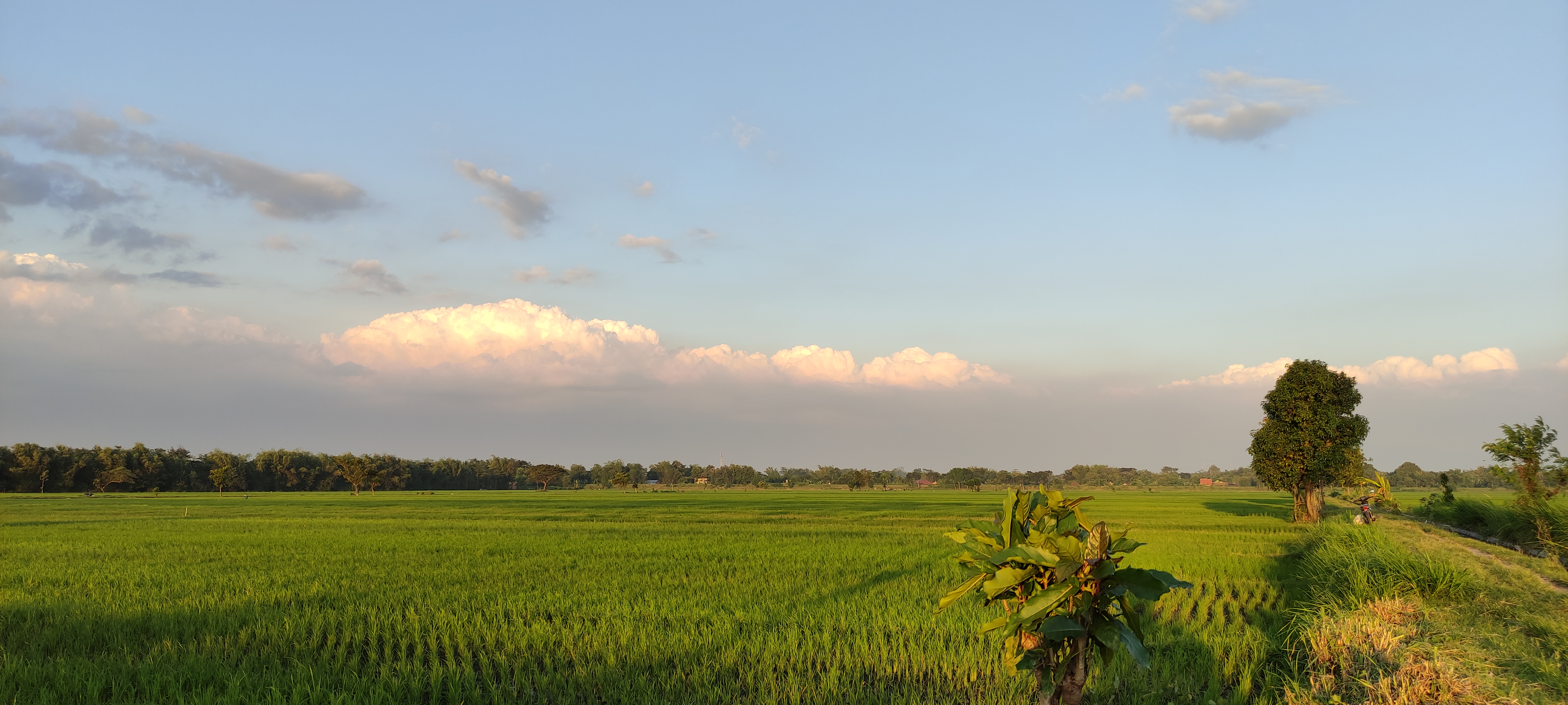 Pagi di Desa Pesing
